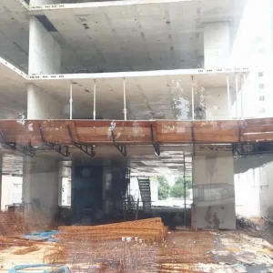 Campos Elíseos Fevereiro 2026