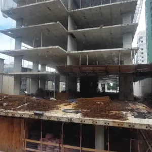 Campos Elíseos Fevereiro 2026