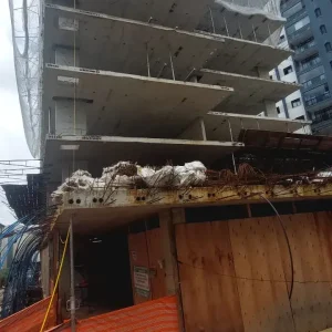 Campos Elíseos Fevereiro 2026