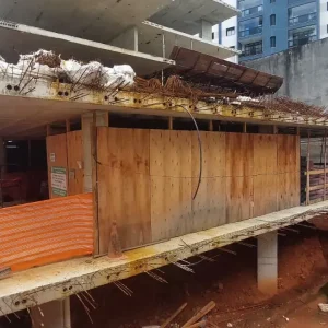 Campos Elíseos Fevereiro 2026
