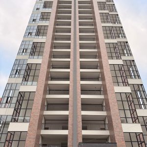 novembro 2025 aquarius