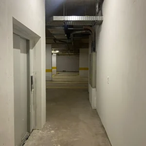 janeiro 2025 horto