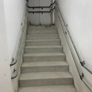 janeiro 2025 horto