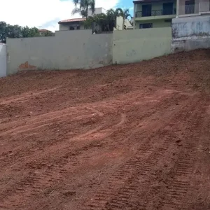 março 2020 horto
