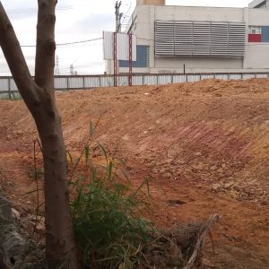 image-2W1TI42HAUGFBUV