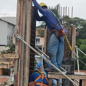 dez 2021 horto