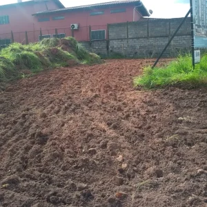 março 2020 horto