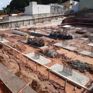 dezembro 2020 horto