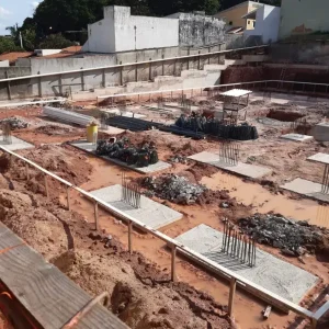 dezembro 2020 horto